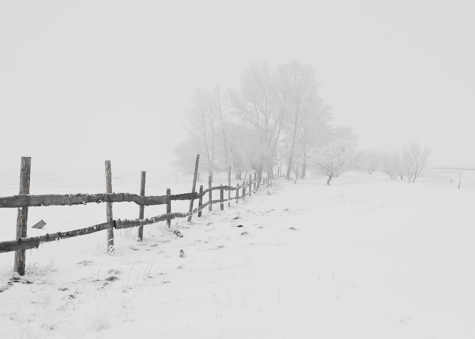 Black Wooden Fence on Snow Field at a Distance of Black Bare Trees