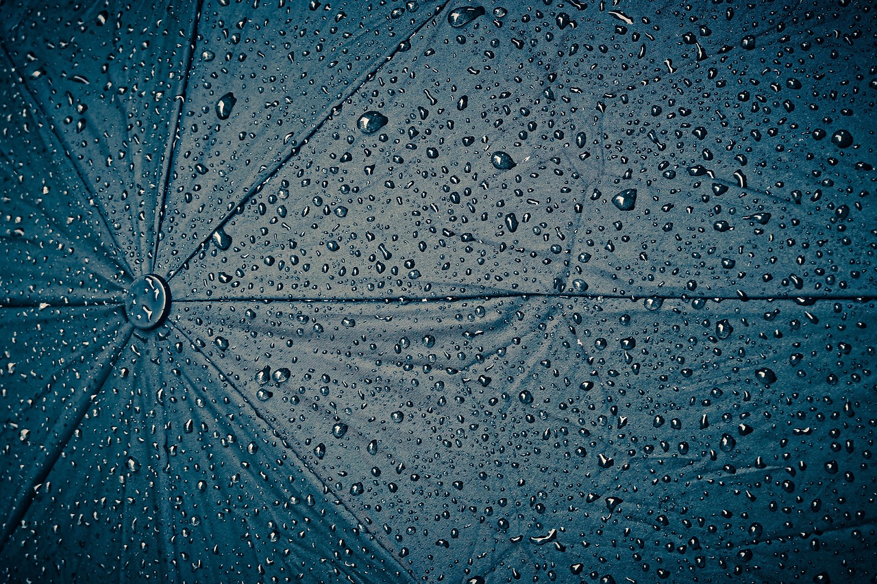 rainy day, umbrella, rainy weather
