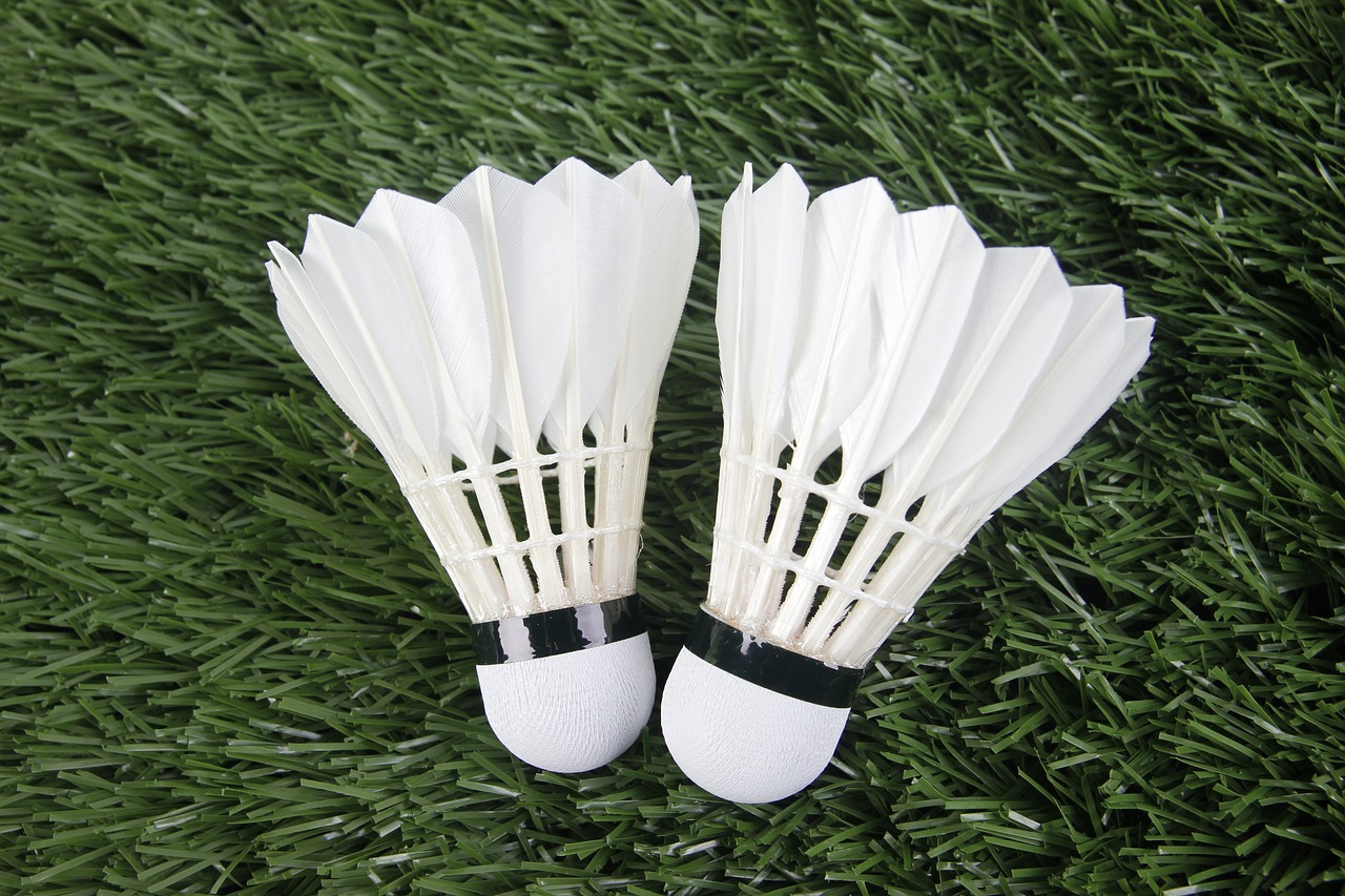 badminton, sports, shuttlecock